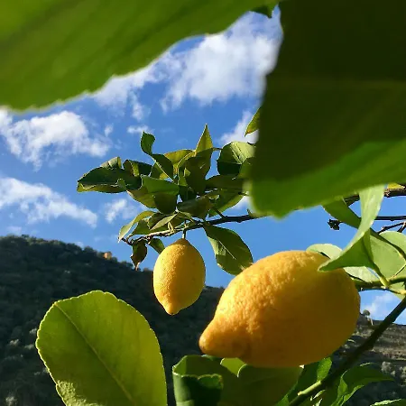 Хостел Douro Backpackers