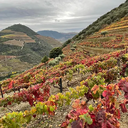 Douro Backpackers * Пиньян