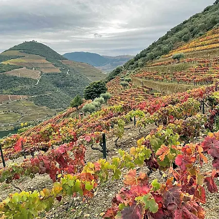 Hostel Douro Backpackers *