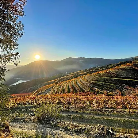 Douro Backpackers *
