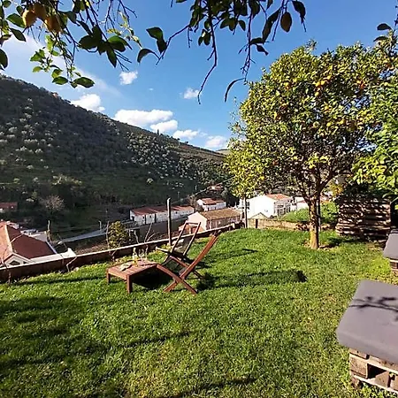 Hostel Douro Backpackers *