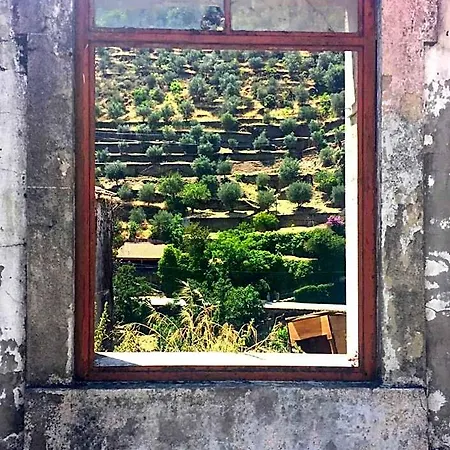 Douro Backpackers Hostel *