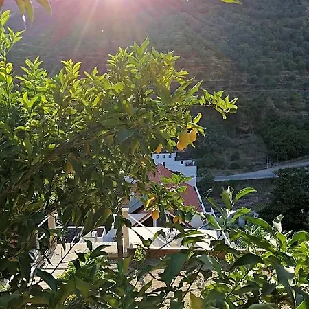Hostel Douro Backpackers Pinhão