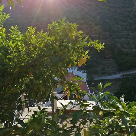 Douro Backpackers Pinhão