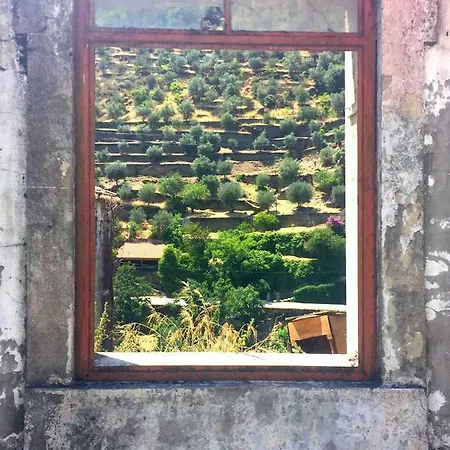Douro Backpackers Hostel *