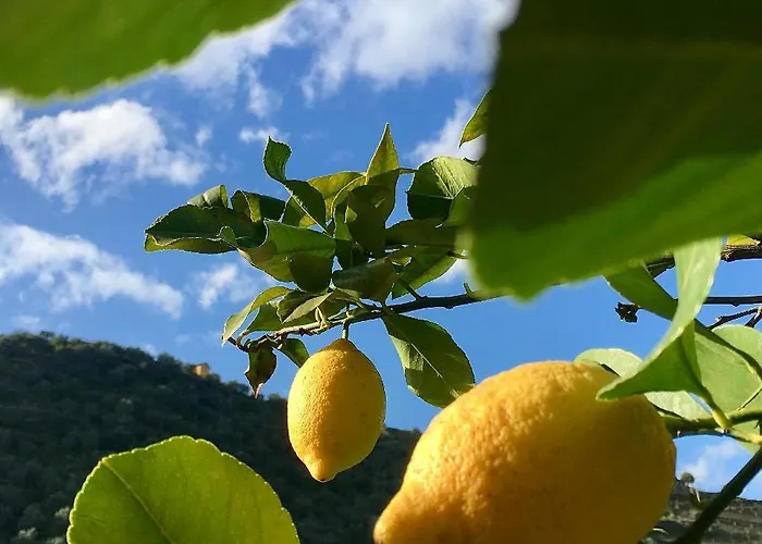 Auberge de jeunesse Douro Backpackers