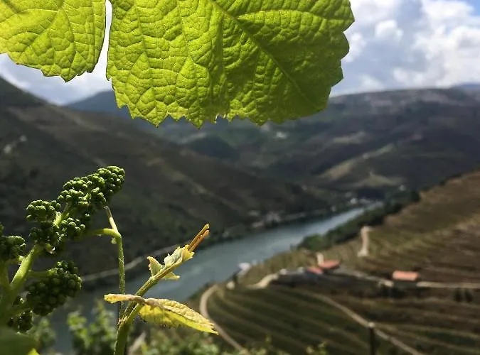 Hostel Douro Backpackers Pinhão