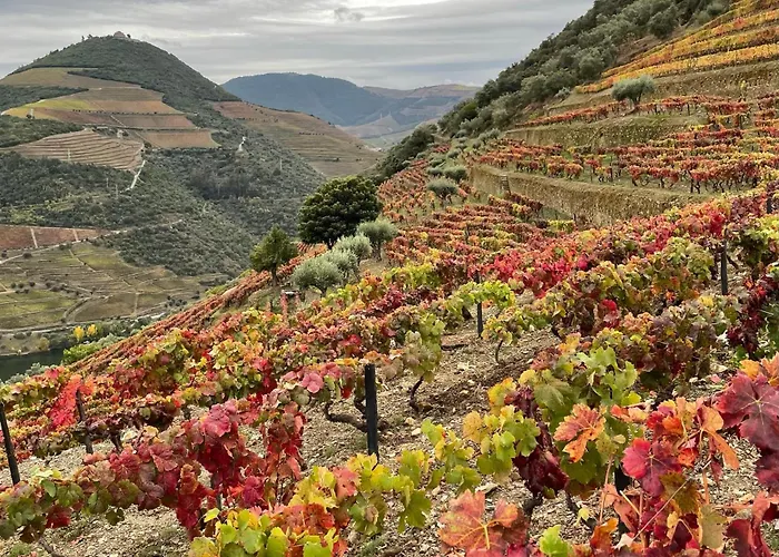 Douro Backpackers * Pinhão