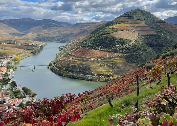 Douro Backpackers