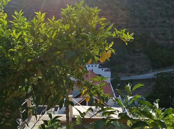 Douro Backpackers Pinhão